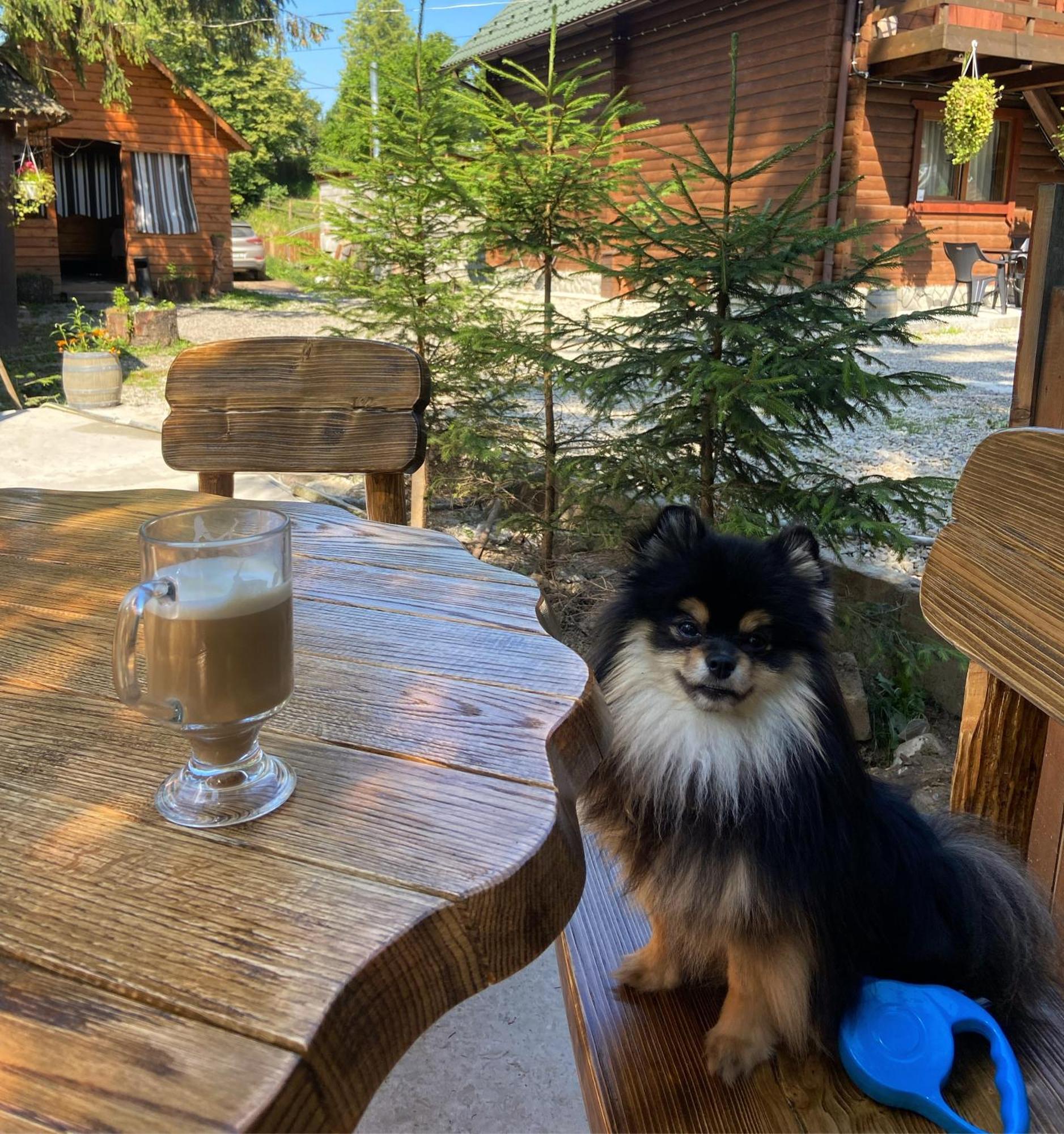 Водограй Hotell Vorochta Exteriör bild